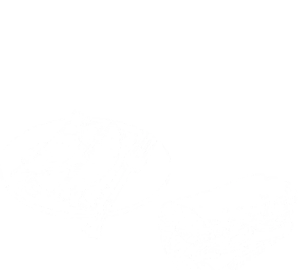 deco