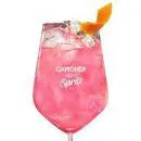 GAMONDI PINK SPRITZ 