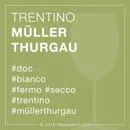 MÜLLER THURGAU 